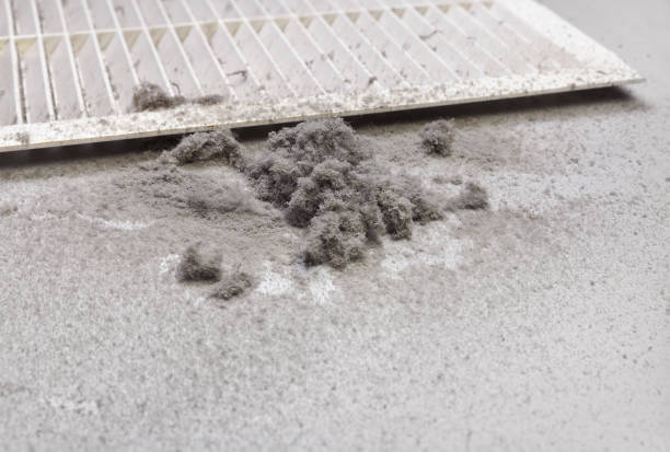 Best Air Duct Cleaning Near Me  in Greenfield, MN