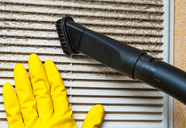 Best Affordable Duct Cleaning Services  in Greenfield, MN